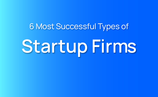 6 Most Successful Types of Startup Firms