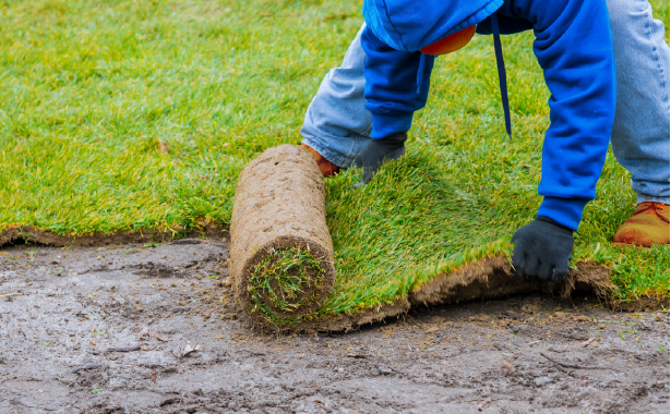 How to Start a Landscaping Business from Scratch