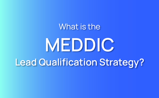 What is the MEDDIC Lead Qualification Strategy